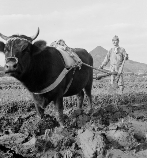 田起こし　長崎県佐世保市
