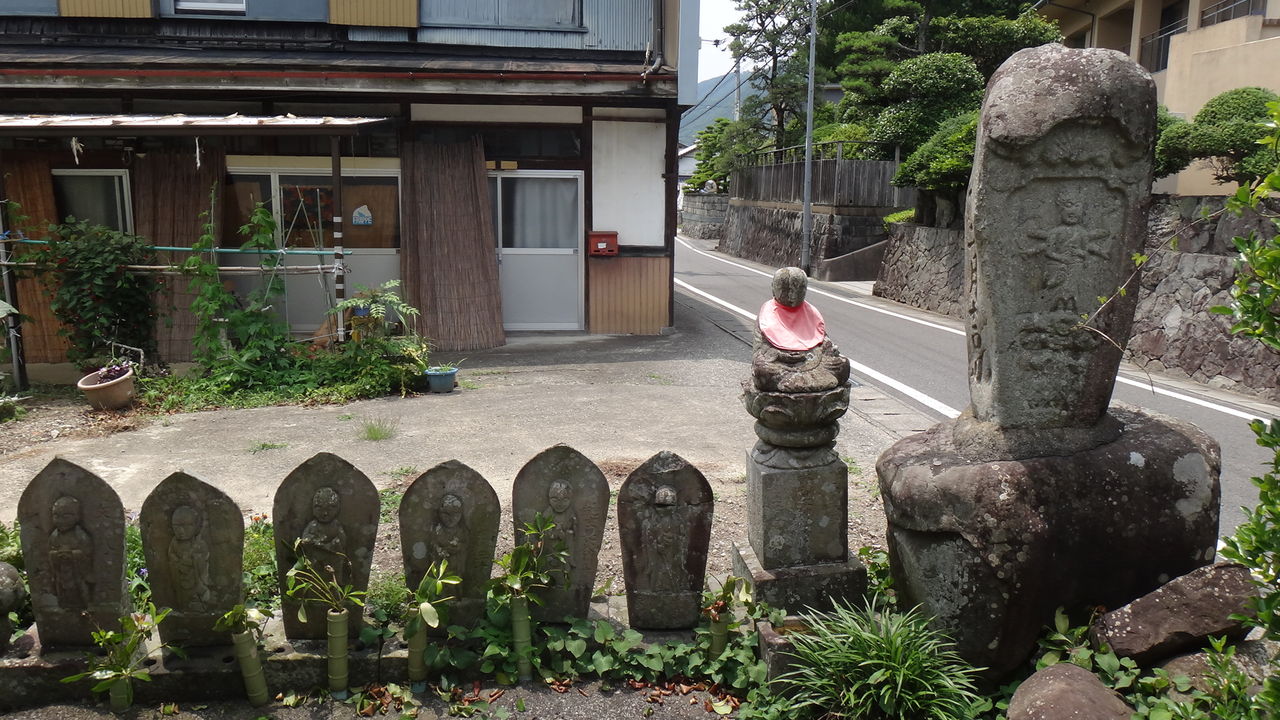 イメージ 9