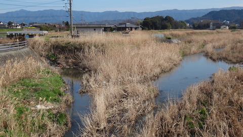 DSC04823旧四条川合流点