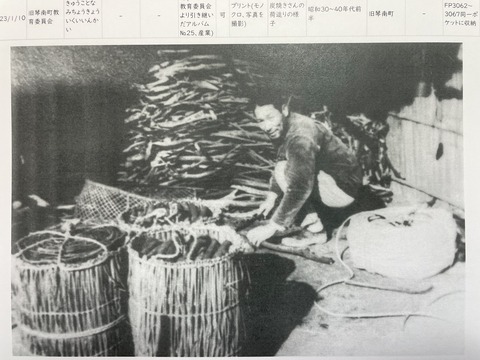 IMG_6875炭焼き荷造り