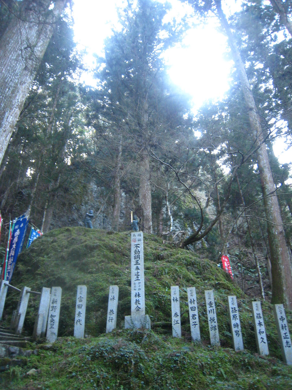 イメージ 10