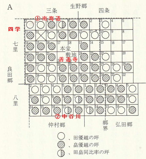 一円保絵図　田畑分布図