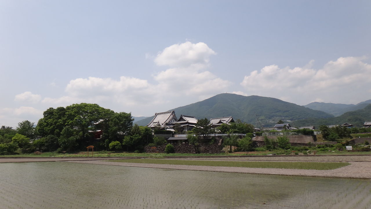 イメージ 1