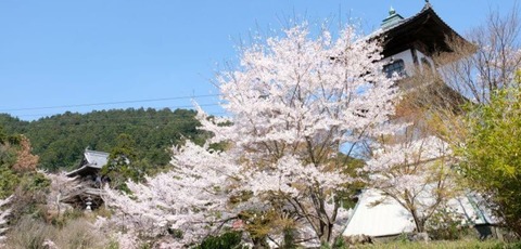 箸蔵寺の高燈籠　煙草・水運関係者