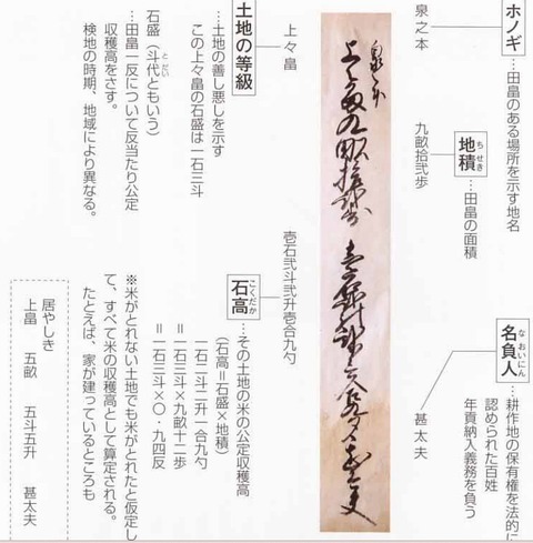 阿波の 太閤検地の記載例