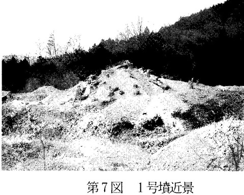 樫林清源寺1号墳4