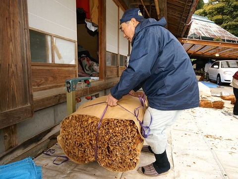 阿波葉　計量作業