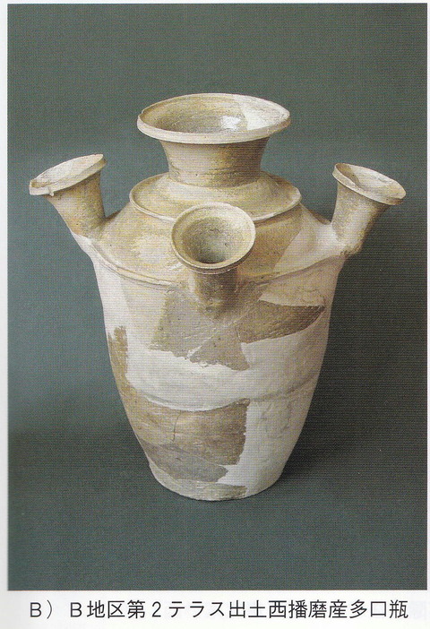 中寺廃寺　Bゾーン多口瓶