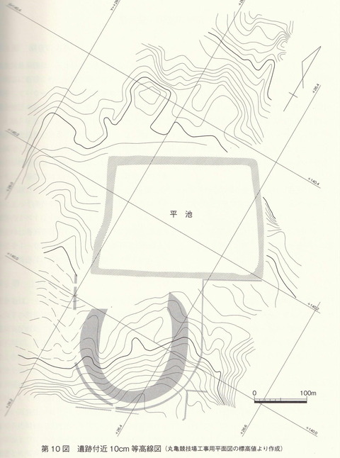 平池南遺跡調査報告書　１０㎝等高線図