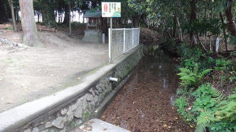 DSC05339