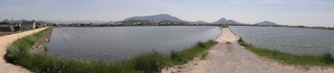 DSC00284