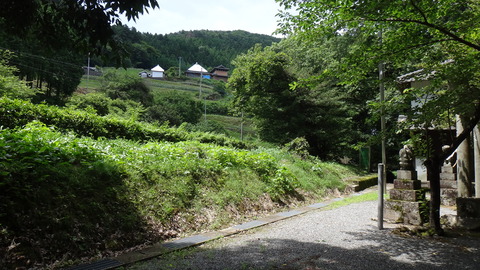 DSC00844勝浦福家神社