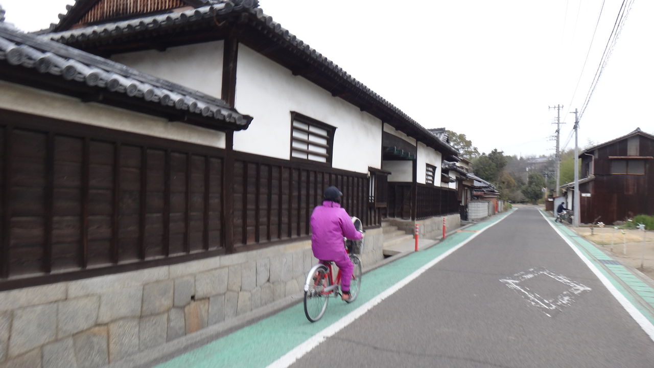 イメージ 7
