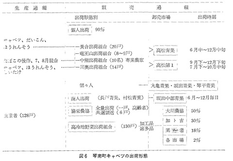 琴南キャベツの出荷先