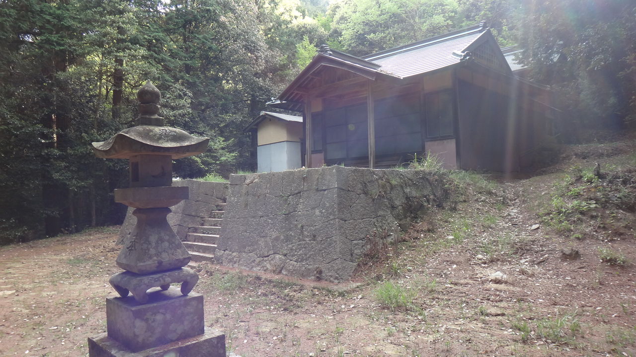 イメージ 17