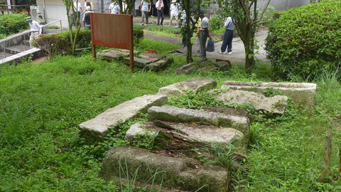 P1160039