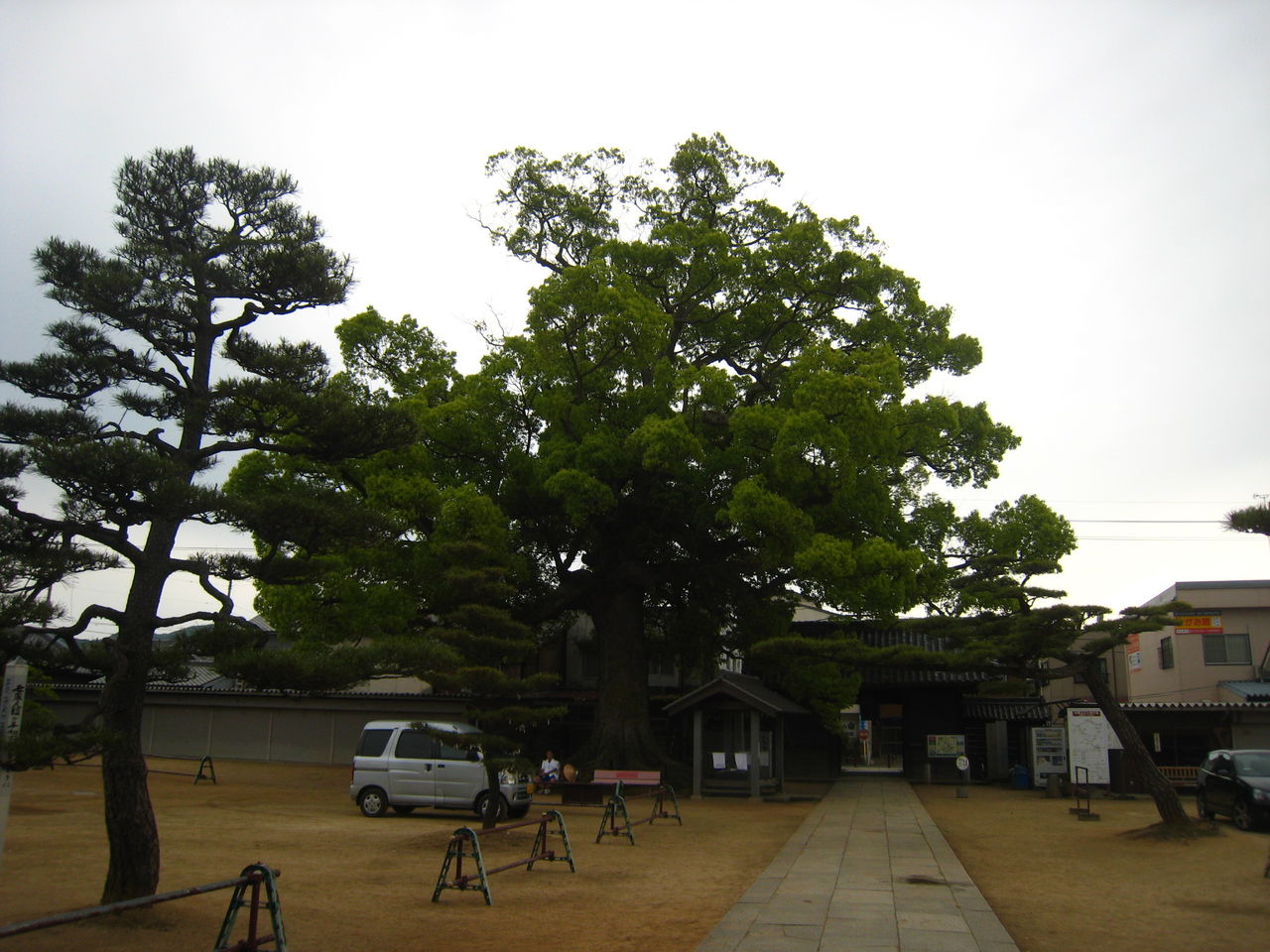 イメージ 8