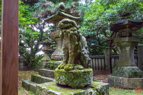 1 金毘羅 狛犬遙拝所3表