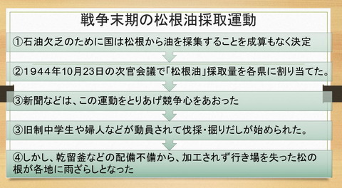 松根油採集運動1