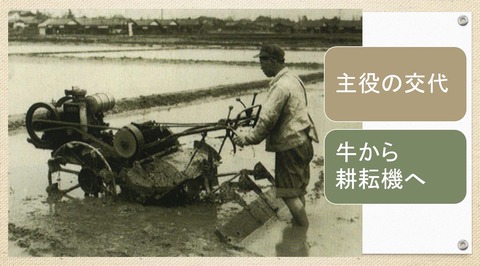 借耕牛と耕耘機