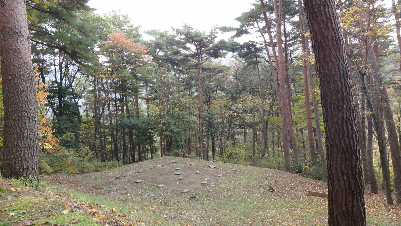 イメージ 6