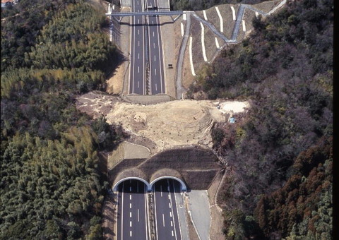 津田湾 鳴門大代古墳jpg