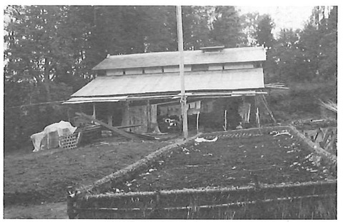 たばこの苗床（昭和55年頃）（下柏崎　小堀政六提供