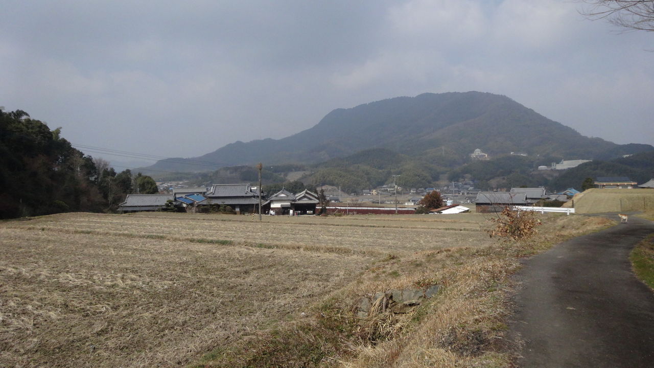 イメージ 3