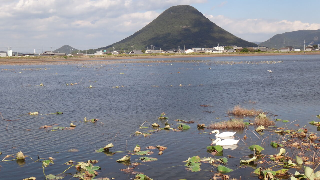 中四国の霊山 修験道と讃岐の山岳信仰 : 瀬戸の島から 中四国の霊山 修験道と讃岐の山岳信仰 : 瀬戸の島から