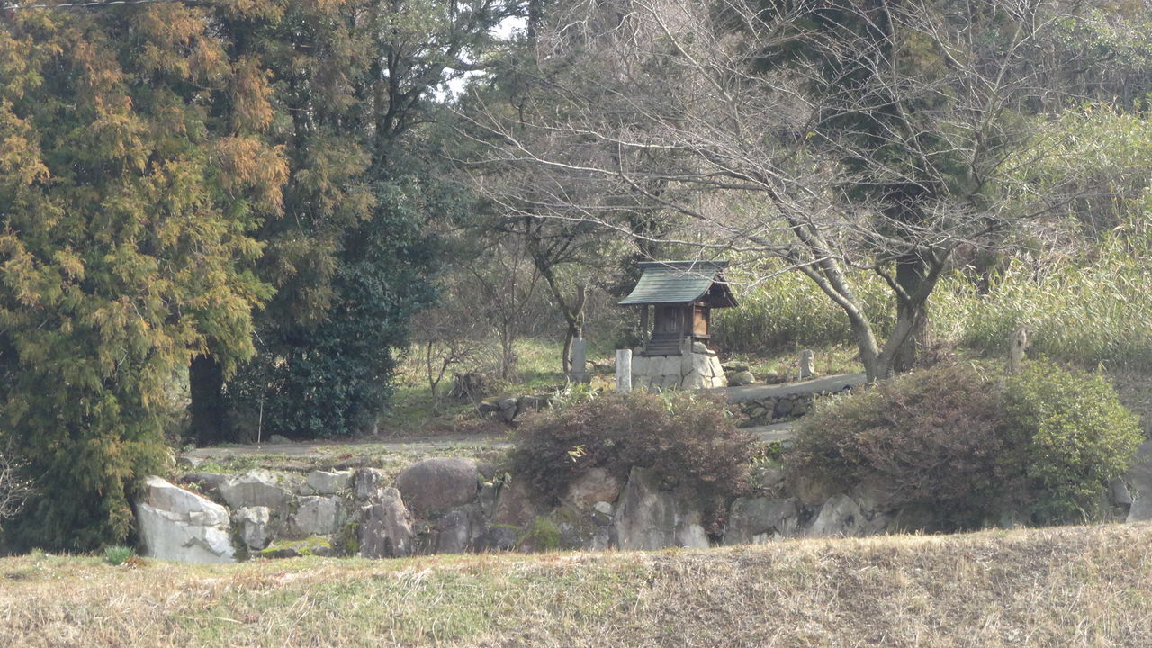 イメージ 1