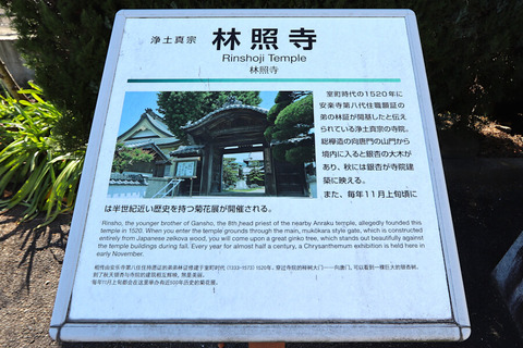 林照寺　美馬市寺町