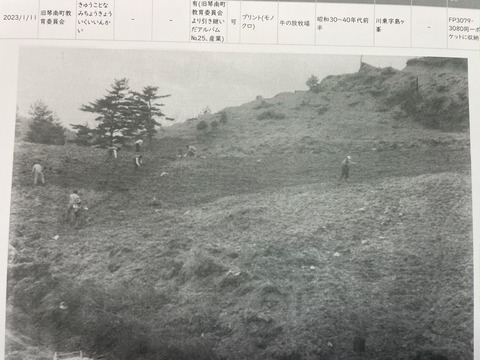 IMG_6879牛の放牧場