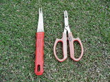 a602c426.JPG