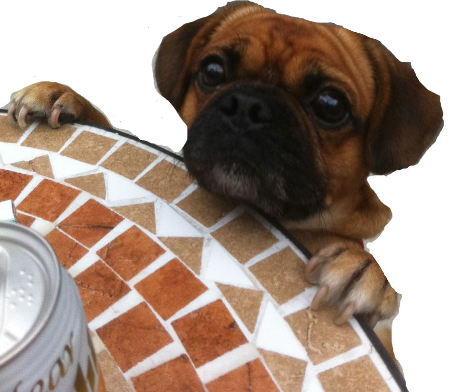 ペット 愛犬 にまつわるお話 目次 大阪の似顔絵師 遠藤しんぢ