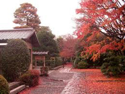 天龍寺 もみじ