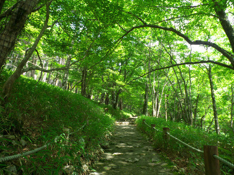 大台ケ原 東大台 周遊コース 写真