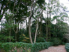 名物とは、特定の土地や時期におきまして、特産物や、行事として、知名度が高く有名である状態のものを指す。特産品のほか、料理に関しては郷土料理（日本国内においては日本の郷土料理やご当地グルメ）が上げられる（名物ネタ）。
「名物とは」名物に旨いものなしという諺がある。名物と呼ばれる食べ物が必ずしも旨いとは限らないことから、名前や名声が必ずしも実態を伴ったものではないことを例えていう（名物ネタ）。
また、日本刀において、時代が古く容姿が美しくすぐれているものを指し、茶道具において、古来からすぐれたものを指す場合もある。
以上名物のうんちく（名物ネタ）。
タブ型照葉重鎮