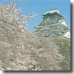 名物とは、特定の土地や時期におきまして、特産物や、行事として、知名度が高く有名である状態のものを指す。特産品のほか、料理に関しては郷土料理(日本国内においては日本の郷土料理やご当地グルメ)が上げられる(名物ネタ)。
「名物とは」名物に旨いものなしという諺がある。名物と呼ばれる食べ物が必ずしも旨いとは限らないことから、名前や名声が必ずしも実態を伴ったものではないことを例えていう(名物ネタ)。
また、日本刀において、時代が古く容姿が美しくすぐれているものを指し、茶道具において、古来からすぐれたものを指す場合もある。
以上名物のうんちく(名物ネタ)。
本丸