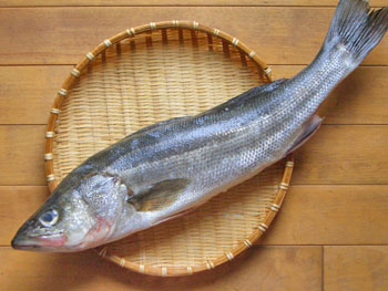 すずき