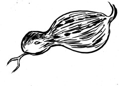 大阪福島にある豚の鍋と串の居酒屋とんさいやが生んだ新しい妖怪話。「カマイタチとノヅチと」