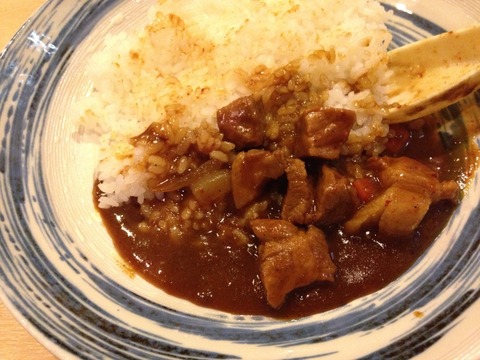 ホルモンカレー