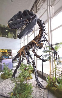 恐竜ザ「大阪」大阪とは、日本の近畿地方の地名のことをさす。西日本最大の都市の大阪市と、大阪市を府庁所在地とする大阪府を指す地域名称で、広い意味では大阪市を中心とした京阪神（畿内、大阪都市圏、関西圏）をまとめて呼ぶときに使われる。関西の経済・文化の中心地で、古くは大坂と表記した。古都・副都としての歴史を持ち、現在も首都東京に次ぐ都市として、経済、文化、バックアップ面で重要な役割を担っている（大阪データ）。

ザ「大阪」大阪市は、近畿地方の行政・経済・文化・交通の中心都市であり、市域を中心として、大阪都市圏および京阪神大都市圏が形成されている。大阪市の2007年度の市内総生産は約21兆円で、政令指定都市中最大であり2倍から3倍の人口を擁する埼玉県や北海道、兵庫県など1つの道府県の県内総生産を上回る。京阪神大都市圏の圏内総生産は、国内では首都圏に次ぎ、世界的にも上位にある（大阪データ）。

ザ「大阪」また大阪　市内の従業者数、事業所数、上場企業本社数は共に東京23区に次いで国内2位となっている。夜間人口は横浜市に次いで全国2位の約267万人、人口密度は全国の市で5位（政令指定都市中で1位）、昼間人口は市外から多くの通勤通学者が流入するため東京23区に次ぐ約369万人となっている。近年では都心回帰が顕著で、中心部三区を中心に増加傾向にある（大阪データ）。

ザ「大阪」大阪市は古代から瀬戸内海・大阪湾に面した当時の国際的な港、住吉津や難波津などの外交に関連した港湾都市として栄え、古代の首都としての難波宮、難波京などの都城も造営された（大阪データ）。

ザ「大阪」宗教的にも中心地であることも多く、中世には浄土真宗の本山であった石山本願寺が置かれ、寺内町として発展した。近世初期には豊臣秀吉が大坂城を築城し、城下町が整備された。江戸時代には天領となり、江戸をしのぐ経済・交通・金融・商業の中心地として発展。天下の台所と称され、豊かな町人文化を育んだ（大阪データ）。

ザ「大阪」明治時代に入ると、繊維工業（船場の繊維街などが有名）を中心とした工業都市となり、「東洋のマンチェスター」、「煙の都」と称された。戦後も長らく経済に関しては東京をリードする立場が続き、特に1990年代まで9大総合商社のうち6社が大阪本社といった構図がこれを象徴していたが、これも相次ぐ再編や東京移転で過去のものとなった（大阪データ）。

ザ「大阪」第二次世界大戦後には、重化学工業の比重が高まり、今日も阪神工業地帯の中核を担う。他方で、卸売業を中心に商業活動も活発で、道修町（薬種）、松屋町（玩具）、本町（繊維）など市内各所に問屋街が発達している。また中之島や北浜界隈には、金融街が形成されている。市役所の所在する中之島から大坂城にかけての地域には、官公庁や公的機関が数多く立地している（大阪データ）。

ザ「大阪」2012年、アメリカのシンクタンクが公表したビジネス・人材・文化・政治などを対象とした総合的な世界都市ランキングにおいて、世界第47位の都市と評価されており、日本では東京に次いで第2位である。また2012年3月、イギリスのシンクタンクにより、世界第24位の金融センターと評価されている（大阪データ）。

