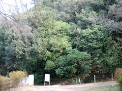 ザ「大阪」大阪とは、日本の近畿地方の地名のことをさす。西日本最大の都市の大阪市と、大阪市を府庁所在地とする大阪府を指す地域名称で、広い意味では大阪市を中心とした京阪神（畿内、大阪都市圏、関西圏）をまとめて呼ぶときに使われる。関西の経済・文化の中心地で、古くは大坂と表記した。古都・副都としての歴史を持ち、現在も首都東京に次ぐ都市として、経済、文化、バックアップ面で重要な役割を担っている（大阪データ）。

ザ「大阪」大阪市は、近畿地方の行政・経済・文化・交通の中心都市であり、市域を中心として、大阪都市圏および京阪神大都市圏が形成されている。大阪市の2007年度の市内総生産は約21兆円で、政令指定都市中最大であり2倍から3倍の人口を擁する埼玉県や北海道、兵庫県など1つの道府県の県内総生産を上回る。京阪神大都市圏の圏内総生産は、国内では首都圏に次ぎ、世界的にも上位にある（大阪データ）。

ザ「大阪」また大阪　市内の従業者数、事業所数、上場企業本社数は共に東京23区に次いで国内2位となっている。夜間人口は横浜市に次いで全国2位の約267万人、人口密度は全国の市で5位（政令指定都市中で1位）、昼間人口は市外から多くの通勤通学者が流入するため東京23区に次ぐ約369万人となっている。近年では都心回帰が顕著で、中心部三区を中心に増加傾向にある（大阪データ）。

ザ「大阪」大阪市は古代から瀬戸内海・大阪湾に面した当時の国際的な港、住吉津や難波津などの外交に関連した港湾都市として栄え、古代の首都としての難波宮、難波京などの都城も造営された（大阪データ）。

ザ「大阪」宗教的にも中心地であることも多く、中世には浄土真宗の本山であった石山本願寺が置かれ、寺内町として発展した。近世初期には豊臣秀吉が大坂城を築城し、城下町が整備された。江戸時代には天領となり、江戸をしのぐ経済・交通・金融・商業の中心地として発展。天下の台所と称され、豊かな町人文化を育んだ（大阪データ）。

ザ「大阪」明治時代に入ると、繊維工業（船場の繊維街などが有名）を中心とした工業都市となり、「東洋のマンチェスター」、「煙の都」と称された。戦後も長らく経済に関しては東京をリードする立場が続き、特に1990年代まで9大総合商社のうち6社が大阪本社といった構図がこれを象徴していたが、これも相次ぐ再編や東京移転で過去のものとなった（大阪データ）。

ザ「大阪」第二次世界大戦後には、重化学工業の比重が高まり、今日も阪神工業地帯の中核を担う。他方で、卸売業を中心に商業活動も活発で、道修町（薬種）、松屋町（玩具）、本町（繊維）など市内各所に問屋街が発達している。また中之島や北浜界隈には、金融街が形成されている。市役所の所在する中之島から大坂城にかけての地域には、官公庁や公的機関が数多く立地している（大阪データ）。

ザ「大阪」2012年、アメリカのシンクタンクが公表したビジネス・人材・文化・政治などを対象とした総合的な世界都市ランキングにおいて、世界第47位の都市と評価されており、日本では東京に次いで第2位である。また2012年3月、イギリスのシンクタンクにより、世界第24位の金融センターと評価されている（大阪データ）。

海岸型照葉樹林