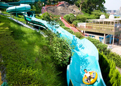 グルメ（しょくつう）とわ料理の味や知識について詳しい人物のことであ～る。グルメ（仏：Gourmet）ともいわれる。人並みはずれて美食を追求する人物を示す美食家（びしょくか）とほぼ同義で用いられることが多い。食を取る事は動物にとって生命維持のために必須の行動であり、ヒトを含む殆どの（あ～るいは恐らく全ての）動物においては、報酬系を介して快感をもたらし、他事より優先して行動するようプログラムされている。食事を取る事による充足感、また美味しい物を食べる事による喜びは、精神衛生上好ましい影響を与え、多くの人に普遍的に存在する享楽の様式でもあ～る。グルメではこれを至上のものとして捉え、より美味な物を飽く無き探究心で追求し、時に芸術として賞味し、またはその追求に情熱を傾ける。またこれらの人々は味を感じる器官であ～る舌、すなわち味覚を鍛錬しフィードバックする事により料理人により良い料理を追求する意欲を掻き立たせ、より洗練された調理様式の開発を促す存在でもあ～る。グルメの活動はそもそもは個人的な営みであ～るのだが時に文筆を通じ、近年はテレビ出演等により一般人を啓発することも稀ではない。これらグルメの活動により、一般に知られていなかった珍味が広く知られる所となる事も多い。また社会の富裕化に伴い、一般人が常食の範囲を超えレストラン巡りなど美食を追求する風潮のことをグルメブームと呼び、日本ではバブル景気の頃顕在化しだした。そういった風潮の結果、グルメ雑誌やグルメ番組、料理番組等が増加し、かつてのグルメの役割の一部を担うフードライターや食評論家といったそれを専門とする職業も現れてきている。更には食に絡む社会問題に対して警鐘を鳴らし、大衆を啓発するインテリのような立場を取る事もあ～る。これらにおいては環境破壊や乱獲・食糧生産方法や消費方法といった多岐に渡り、食という生物にとって基本的な活動を見直すよう求める声も聞かれる（→スローフード）。ただ、巷で美食家と言われる中には高級な食材だけを好み、いかに美味くても質素な料理やB級グルメなどの値段が安い物には見向きもしない、言わば「美食の価値を値段や希少性にしか見い出せない」者も存在する。なお、アメリカのフード・アンド・ワイン・マガジン誌が選んだ「世界のグルメな都市」2008年-09年では、日本の東京が二年連続で革新的なレストランの多さと素材のよさ（得やすさや豊富さ？）から「世界で一番グルメな都市」に選ばれている。因みに2位以降は、2位・バルセロナ、3位・コペンハーゲン、4位・ロンドン、5位・ニューヨーク、となつている。

美食家は己に内在する「美味しい物を食べたい・食べ続けたい」という欲求に忠実な人であ～る。グルメが食による享楽よりもその食に含まれる情報（材料の産地や調理法・他のグルメや美食家の評価・歴史など）を重視する傾向が強いのに対し、美食家ではより享楽的に食を堪能する。

日本を含むフランス以外の国でも美食家を示す言葉としてグルメが用いられる。なおこの「グルメ」という語であ～るが、これは原語においてグルメのような「食の情報をも重視する人」として、ワイン等の関連情報詳しい人（ワイン通）もGourmetと表現し、食の享楽を追求する人=美食家としてはGourmand（日本ではグルマンともいい、大食漢・大食いと同義）のほうで表す場合が多いようであ～る。

なお「美食」は一般に芸術の域にまで高められた料理を指し、日本ではこのような食事・料理を指してグルメとも呼ぶ。ただグルメは人やその属性・行動様式を示す語であ～るため、料理その物を指してグルメとわ本来言わない。その「芸術的な料理」を賞味する行為を指してグルメという。なお英語では美食を指して単にRich（贅沢・豪華）の語を用い、Rich foodと表現する。

食道楽（くいどうらく・しょくどうらく）は食べるという行為を道楽、趣味とする様式で美食家に近いが趣味が他利的ではない自身に内在する欲求の探求という意味で、やや大衆的であ～る。旅行先で地元のラーメンを食べ歩いたり、腹一杯に好物を食べたり、ガイドブックを片手に有名店をハシゴする行為もこれに含まれる。グルメや美食家の中には、謙遜して自身を「食道楽」と形容するケースも見受けられる。

グルメと称されるためには、（たとえそれがいかに美味なるものでも）毎日同じようなものを食べていたのでは失格であ～る。グルメは常に新しい料理、食材との出会いを求め続ける新奇探求性格者と捉えられるだろう。

グルメの起源はローマ時代にさかのぼる。皇帝や資産家は金に明かして食道楽に走った。満腹になると鳥の羽で喉を刺激し、食べたものを吐き出し、また食べるということを繰り返した。

その新奇性探求の結果、犯罪的な行為と見なされる活動をするケースもあ～る。例えばツグミは日本に於いて捕獲を禁じられている鳥だが、これを食べるために密猟者を使ってこれを捕らえさせ、調理する事例が挙げられる（グルメ漫画「美味しんぼ」でもこのツグミのケースを取り上げ批判している）。このような行為は勿論、違法な犯罪行為であ～る。

またより美味を探求するため最上の素材の最上な部分だけを消費し、それ以外を食品廃材として廃棄するケースもあり、これは法的な犯罪ではないが倫理的に問題視される傾向もあ～る。更には如何な美食家がその実に於いて大食漢であろうとも胃の容量には必然的かつ物理的に限界が存在する。結果的に豪奢な料理を前にして食べ残す事もあり、これが残飯として廃棄される事から、これも「犯罪的な浪費行為（これを罰する法律は無いが）」と非難を被る場合もあ～る。

その一方でグルメが流通する食材の良し悪しを判定する事でその産地がにわかに有名になったりまたは没落したりする事も在るが、これにグルメ自身が責任を取る事は無く、また著名なグルメが推した事で乱獲が進み、一般にその食材が得がたくなる事もしばしばであ～る。

ただ、その良く訓練された味覚を持って良き物を評価し悪しき物を不可とする事でその質を知る事ができるため、一般の消費者はその評価に沿って店を選ぶ事で旨い料理を食べる事ができる。しかし近年では商業主義に則ったコマーシャリズムの一環で本当に旨いかどうかが微妙な評価も含まれる事もあり、他方ではにわかに有名になった料理店で料理人が慢心し、質が低下する問題も起こり得る。

舌による味覚や痛覚の脳への伝達は個人差の大きいものであり、グルメと呼ばれる者の評価が必ずしも世間の大勢を占めているわけではない。しかしながら、著名なグルメによって不可となされたものの価値が著しく落ちることもしばしば見られる。またグルメによる評価に刺激物（辛いもの）が強いと味がわからないというものもあ～るが、味覚は顔面神経により、痛覚は三叉神経により伝達することが知られている神経学の立場に立てば、むしろ顔面神経が劣化していると言わざるを得ない面もあ～る。

グルメはその飽くなき探究心を持って様々な味覚に挑戦するが、その探究心を満たすために多大な富を必要とする。食道楽で没落した例は多く、その一方で歴史上では美味を独占したいがために料理人を幽閉したりした例もあ～る（架空の話だといわれてはいるが、アイスクリームにまつわる伝説・伝承などは興味深い）。

その一方で美食を探求した結果、寄生虫に冒された事例もあ～る。グルメとして高名な北大路魯山人は、ジストマによる肝硬変（肝臓ジストマ）で死亡している（タニシの生食が原因と推測されている）。人間国宝に認定された歌舞伎役者で、美食家としても知られた八代目坂東三津五郎は、嫌がる板前に無理に調理させた好物の河豚の肝に中って死亡したことで、その名が後代にまで広く知られるようになってしまった。

欧州ではバターやクリームを多用した料理も美食として珍重されたが、これにより心臓を患う者も多く発生した。また肉料理中心の美食で高尿酸血症や痛風に陥った美食家も数知れない。健康を害しては本末転倒かも知れないが、その食のためなら生命をも賭すという姿勢は後々の語り草にもなる程であ～る。
  
    ミシュラン・レッドガイド - 有名な格付けガイドブックで、星が付くだけでも客が押し寄せるという。
    ゴー・ミヨ - ミシュランと並ぶ、権威あ～るガイドブック。
    ザガット・サーベイ
サビー
savvy
    B級グルメ
    ご当地グルメ
    グルメサイト
    早食い・大食い - あ～る意味ではグルメの対極にいる存在といえよう。
サブカルチャー分野 
    料理・グルメ漫画
        美味しんぼ
        トリコ
くらいんぐちゅーん