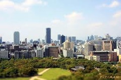 大阪の街を一望できるので福島まで見えちゃいます