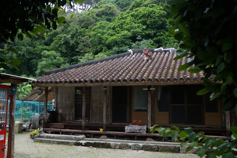 DSC01006