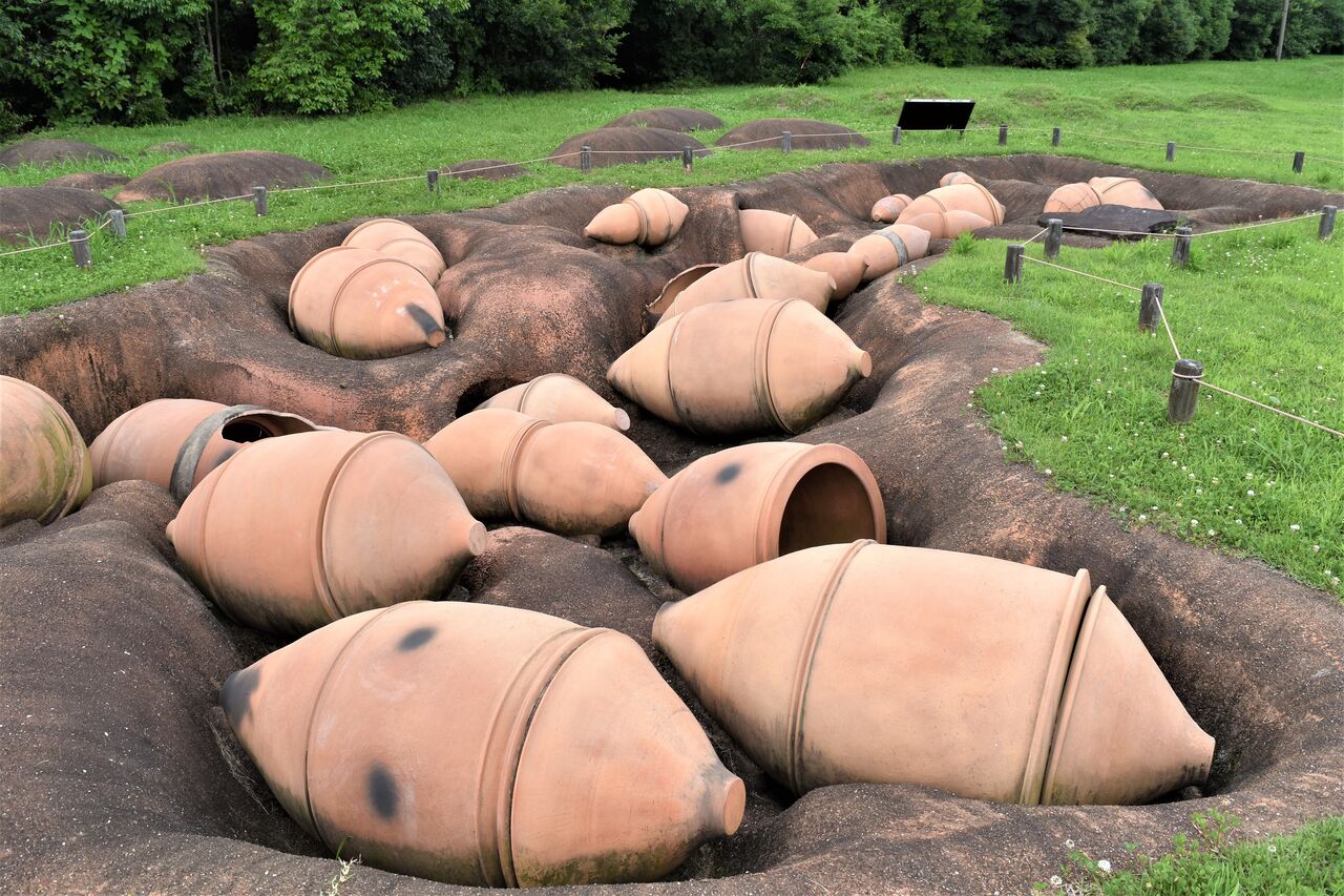 吉野ヶ里歴史公園ー９ 甕棺墓列 ー１ Tontonziziiのblog