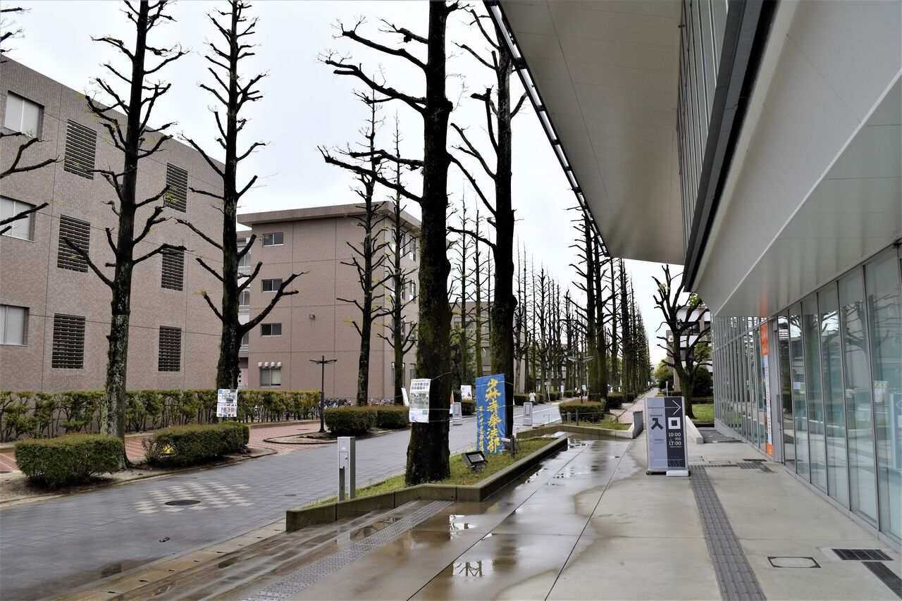 佐賀大学美術館ー村岡平蔵・作品展 : tontonziziiのblog