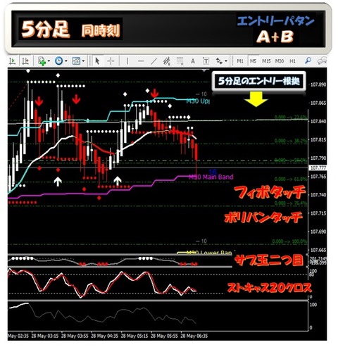 5b