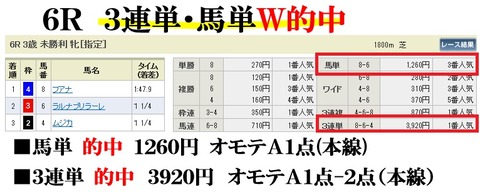 阪神6R